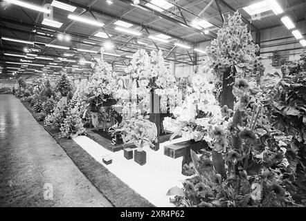 Blumenausstellung Aalsmeer, Ausstellungen, 08-11-1973, Whizgle Dutch News: Historische Bilder zugeschnitten auf die Zukunft. Erkunden Sie die Vergangenheit der Niederlande mit modernen Perspektiven durch Bilder von niederländischen Agenturen. Verbinden der Ereignisse von gestern mit den Erkenntnissen von morgen. Begeben Sie sich auf eine zeitlose Reise mit Geschichten, die unsere Zukunft prägen. Stockfoto