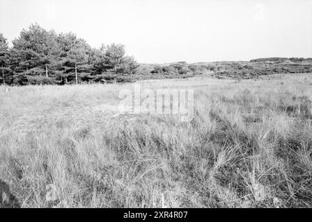 Kranflugzeug in Dünen Overveen, Zandvoort, Dunes, Overveen, 02-10-1985, Whizgle Dutch News: historische Bilder für die Zukunft. Erkunden Sie die Vergangenheit der Niederlande mit modernen Perspektiven durch Bilder von niederländischen Agenturen. Verbinden der Ereignisse von gestern mit den Erkenntnissen von morgen. Begeben Sie sich auf eine zeitlose Reise mit Geschichten, die unsere Zukunft prägen. Stockfoto