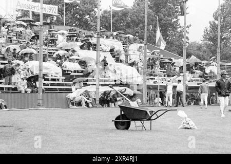 Regen in Kolumbien - Venezuela, Baseball-Weltmeisterschaften 1986, 25.07.1986, Whizgle Dutch News: Historische Bilder für die Zukunft. Erkunden Sie die Vergangenheit der Niederlande mit modernen Perspektiven durch Bilder von niederländischen Agenturen. Verbinden der Ereignisse von gestern mit den Erkenntnissen von morgen. Begeben Sie sich auf eine zeitlose Reise mit Geschichten, die unsere Zukunft prägen. Stockfoto