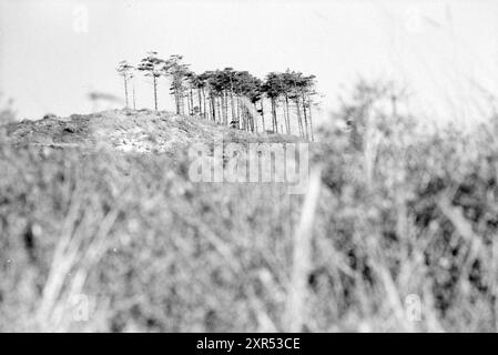 Kranflugzeug in Dünen Overveen, Zandvoort, Dunes, Overveen, 02-10-1985, Whizgle Dutch News: historische Bilder für die Zukunft. Erkunden Sie die Vergangenheit der Niederlande mit modernen Perspektiven durch Bilder von niederländischen Agenturen. Verbinden der Ereignisse von gestern mit den Erkenntnissen von morgen. Begeben Sie sich auf eine zeitlose Reise mit Geschichten, die unsere Zukunft prägen. Stockfoto