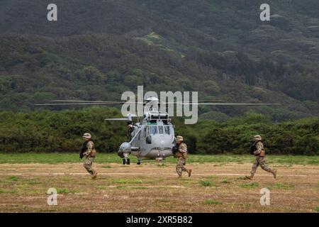 Die peruanischen Marineinfanterie verlassen einen peruanischen H-3 Sea King, um am 25. Juli 2024 im Marine Corps Training Area Bellows, Hawaii, eine Probe für einen Luftangriff durchzuführen. Die Probe war eine gemeinsame Anstrengung von US-amerikanischen und alliierten Partnern für die Übung Rim of the Pacific (RIMPAC) 2024, um die Interoperabilität zu verbessern. 29 Nationen, 40 Überlandschiffe, drei U-Boote, 14 nationale Landstreitkräfte, mehr als 150 Flugzeuge und 25.000 Mitarbeiter nehmen vom 27. Juni bis 1. August an der RIMPAC Teil. RIMPAC ist die weltweit größte internationale maritime Übung und bietet ein einzigartiges Erlebnis Stockfoto