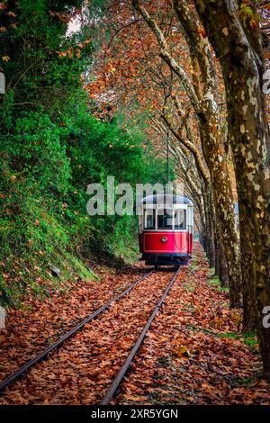 Die klassische Straßenbahn verbindet Sintra mit dem Strand von Macas inmitten einer herbstlichen Landschaft in Portugal Stockfoto