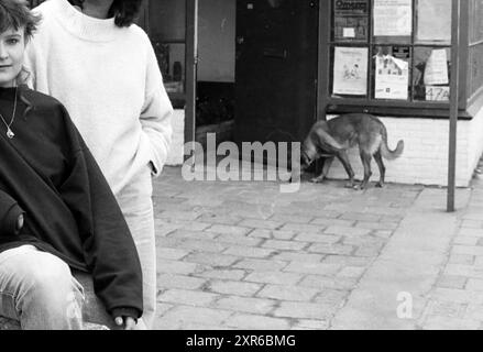 Runaways Relay, Jugend, 16. April 1986, Whizgle Dutch News: Historical Images Tailored for the Future. Erkunden Sie die Vergangenheit der Niederlande mit modernen Perspektiven durch Bilder von niederländischen Agenturen. Verbinden der Ereignisse von gestern mit den Erkenntnissen von morgen. Begeben Sie sich auf eine zeitlose Reise mit Geschichten, die unsere Zukunft prägen. Stockfoto