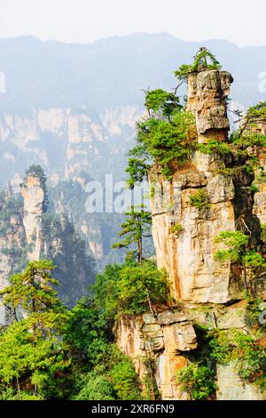 Fantastischer Blick auf Bäume, die auf Felsen wachsen (Avatar Rocks) Stockfoto