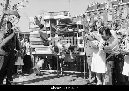 Eröffnung des NZH-Bahnhofs Haarlem, Noord Zuid Hollandse Vervoersmaatschappij N.V., NZ, Eröffnung, Eröffnung, Inbetriebnahme, 11-06-1977, Whizgle Dutch News: Historical Images Tailored for the Future. Erkunden Sie die Vergangenheit der Niederlande mit modernen Perspektiven durch Bilder von niederländischen Agenturen. Verbinden der Ereignisse von gestern mit den Erkenntnissen von morgen. Begeben Sie sich auf eine zeitlose Reise mit Geschichten, die unsere Zukunft prägen. Stockfoto