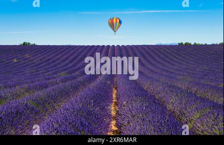 Ballonflug über die Lavendelfelder von Valensole in Frankreich Stockfoto