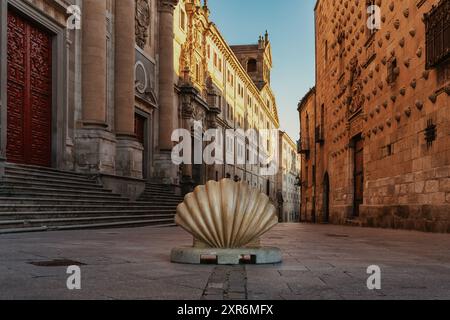 Eine Muschel, das Symbol des Jakobsweges, in den Straßen von Salamanca in Spanien Stockfoto