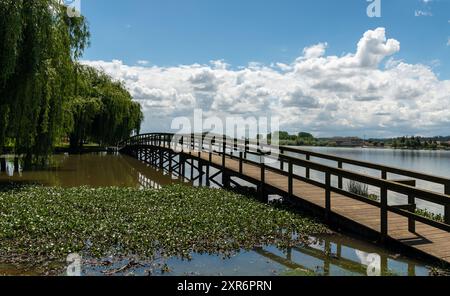 Holzsteg über die natürliche Lagune von Pateira de Fermentelos in Aveiro, Portugal Stockfoto