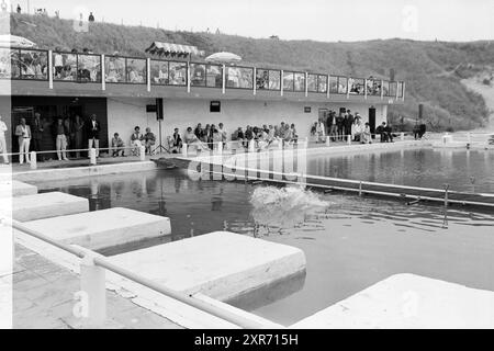 Miss Beach Election Zandvoort II, Miss Election, Zandvoort, Zandvoort, 08-08-1981, Whizgle Dutch News: historische Bilder für die Zukunft. Erkunden Sie die Vergangenheit der Niederlande mit modernen Perspektiven durch Bilder von niederländischen Agenturen. Verbinden der Ereignisse von gestern mit den Erkenntnissen von morgen. Begeben Sie sich auf eine zeitlose Reise mit Geschichten, die unsere Zukunft prägen. Stockfoto