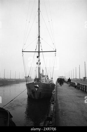 Das Schiff Mi Amigo, das unter der Flagge von Panama, der Basis des Piratenkanals Caroline, fährt im Hafen von IJmuiden an, nachdem es auf See verschwunden und auf einer Sandbank auf Grund gelaufen ist., IJmuiden, Niederlande, 23-01-1966, Whizgle Dutch News: Historische Bilder zugeschnitten auf die Zukunft. Erkunden Sie die Vergangenheit der Niederlande mit modernen Perspektiven durch Bilder von niederländischen Agenturen. Verbinden der Ereignisse von gestern mit den Erkenntnissen von morgen. Begeben Sie sich auf eine zeitlose Reise mit Geschichten, die unsere Zukunft prägen. Stockfoto