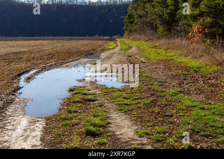 Abgebrochene Feldstraße in den Frühlingsbergen mit vielen schlammigen Pfützen nach dem Regen. Stockfoto