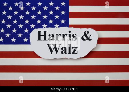 Flagge der USA mit Harris und Walz Flagge der USA mit Harris und Walz, 09.08.2024, Borkwalde, Brandenburg, auf einer Flagge der USA liegt der Schriftzug Harris und Walz. *** Flagge der USA mit Harris und Walz Flagge der USA mit Harris und Walz, 09 08 2024, Borkwalde, Brandenburg, auf einer Flagge der USA ist die Schrift Harris und Walz Stockfoto