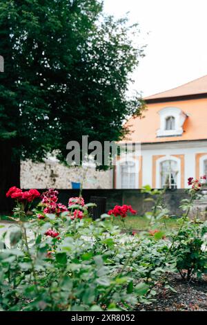 Die farbenfrohen Blumen in Rot- und Rosa-Tönen verleihen vor einem bezaubernden historischen Gebäude einen Farbakzent. Die Strukturkomponenten Stockfoto