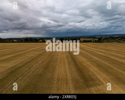 Das frisch geerntete Weizenfeld erstreckt sich unter einem bewölkten Himmel und führt in Richtung einer fernen Stadt am Horizont Stockfoto