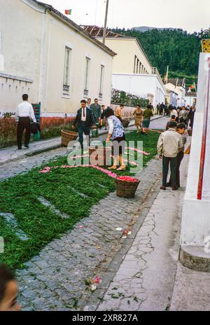 Religiöse Straßenprozession für Pflanzen und Blumen, Procissao de Senhor der Infernos, Furnas, Insel São Miguel, Azoren, Portugal, April 1964 Stockfoto