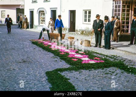 Religiöse Straßenprozession für Pflanzen und Blumen, Procissao de Senhor der Infernos, Furnas, Insel São Miguel, Azoren, Portugal, April 1964 Stockfoto