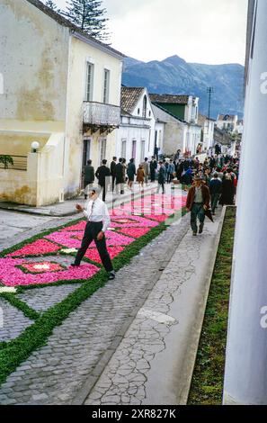 Religiöse Straßenprozession für Pflanzen und Blumen, Procissao de Senhor der Infernos, Furnas, Insel São Miguel, Azoren, Portugal, April 1964 Stockfoto