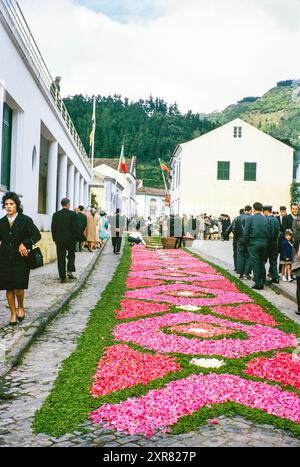 Religiöse Straßenprozession für Pflanzen und Blumen, Procissao de Senhor der Infernos, Furnas, Insel São Miguel, Azoren, Portugal, April 1964 Stockfoto