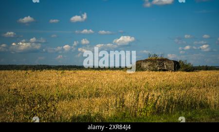 Ein Bunker in der Ferne, in einem Weizenfeld. Bunker auf dem Feld Stockfoto