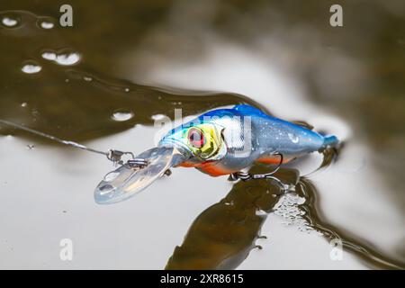 Ein sich drehender Köder (blauer Minnow Wobbler), der am Rand des jungen Nasseises im Fluss gefangen wird Stockfoto