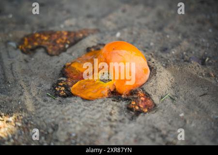 Eine zerstoßene Orangentomate liegt auf der Straße im Sand Stockfoto