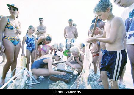 Menschenmassen am Strand in IJmuiden, IJmuiden, Niederlande, 08-08-1997, Whizgle Dutch News: Historische Bilder zugeschnitten auf die Zukunft. Erkunden Sie die Vergangenheit der Niederlande mit modernen Perspektiven durch Bilder von niederländischen Agenturen. Verbinden der Ereignisse von gestern mit den Erkenntnissen von morgen. Begeben Sie sich auf eine zeitlose Reise mit Geschichten, die unsere Zukunft prägen. Stockfoto