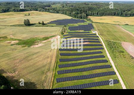 Eine große Solarpaneel-Farm auf einem ländlichen Feld. Stockfoto