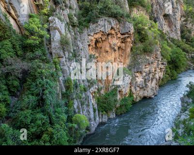 Aus der Vogelperspektive der Collegats-Schlucht und des Flusses Noguera Pallaresa (Pallars Sobirà, Lleida, Katalonien, Spanien, Pyrenäen) Stockfoto