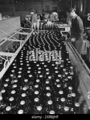 Aktuell 14-15-1951: Eiskaltes Bier in der Hitze. Besuch der drei Brauereien in Oslo. In den automatischen Abfüllsäulen werden die Flaschen gewaschen, gespült und gespült, die Beerare gefüllt, die Flaschen verkorkt. Sie gehen durch das Pasteurisierungsbad - das Bild zeigt den marsch aus ihm - die Etiketten werden von der nächsten Maschine in der Säule angebracht und die Flaschen werden in Kartons verpackt. Foto: Sverre A. Børretzen / aktuell / NTB ***das Foto ist nicht bearbeitetes Bild*** dieser Bildtext wird automatisch übersetzt dieser Bildtext wird automatisch übersetzt Stockfoto