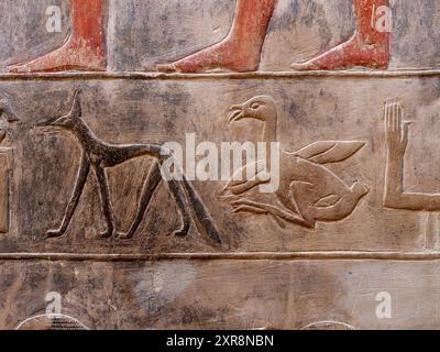 Tierreliefs aus dem Inneren des Grabes von Kagemni Egypt Stockfoto