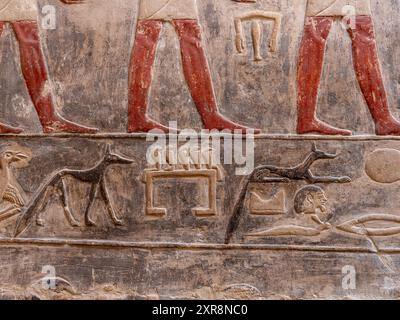 Reliefs aus dem Inneren des Grabes von Kagemni Ägypten Stockfoto