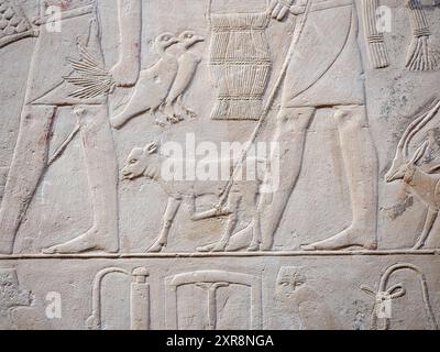 Tierreliefs aus dem Inneren des Grabes von Kagemni Egypt Stockfoto