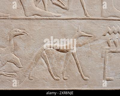 Hundereliefs aus dem Inneren des Grabes von Kagemni Egypt Stockfoto