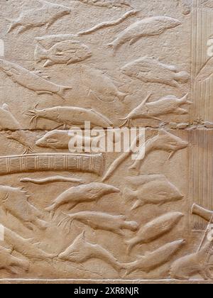 Fischreliefs aus dem Inneren des Grabes von Kagemni Egypt Stockfoto