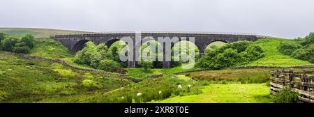 Viadukte und Schafe auf Farmen im Yorkshire Dales National Park, North Yorkshire, England Stockfoto