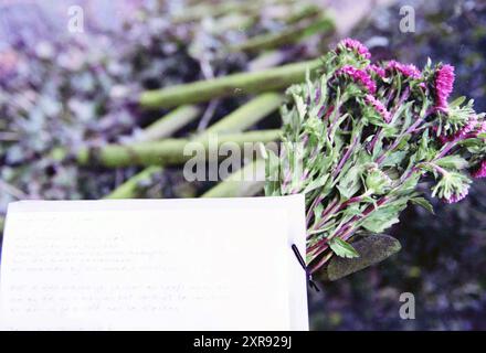 Blumenstrauß, Skagerrak 66 (Beileidsbekundungen von Nachbarn nach der Ermordung von Mutter und Kind), Hoofddorp, Skagerrak, Niederlande, 11-02-1997, Whizgle Dutch News: historische Bilder für die Zukunft. Erkunden Sie die Vergangenheit der Niederlande mit modernen Perspektiven durch Bilder von niederländischen Agenturen. Verbinden der Ereignisse von gestern mit den Erkenntnissen von morgen. Begeben Sie sich auf eine zeitlose Reise mit Geschichten, die unsere Zukunft prägen. Stockfoto