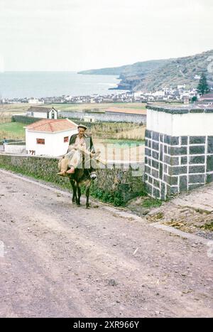 Mann reitet Esel oder Maultier in der Nähe des Küstendorfes Maia, Insel São Miguel, Azoren, Portugal, April 1964 Stockfoto