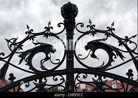 Oben auf dem Straßenzaun mit Drachen Stockfoto