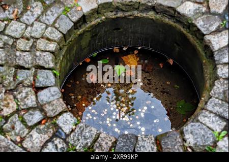 Ein kleiner Brunnen mit Münzen in einem Garten Stockfoto