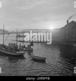 Aktuell 08-1951: Das Abenteuer in Lofoten. Etwa 5.000 Boote mit 20 bis 25.000 Fischern jagen den Skrein während der Hochsaison in Lofoten, dem Zentrum der weltweit größten Kabeljaufischerei. Lofoten angeln. Foto: Sverre A. Børretzen / aktuell / NTB ***das Foto ist nicht bearbeitetes Bild*** dieser Bildtext wird automatisch übersetzt dieser Bildtext wird automatisch übersetzt Stockfoto