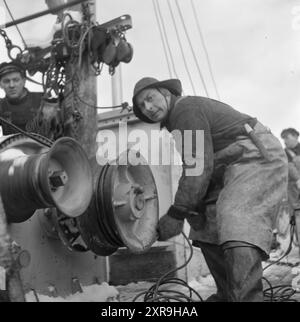 Aktuell 08-1951: Das Abenteuer in Lofoten. Etwa 5.000 Boote mit 20 bis 25.000 Fischern jagen den Skrein während der Hochsaison in Lofoten, dem Zentrum der weltweit größten Kabeljaufischerei. Lofoten angeln. Foto: Sverre A. Børretzen / aktuell / NTB ***das Foto ist nicht bearbeitetes Bild*** dieser Bildtext wird automatisch übersetzt dieser Bildtext wird automatisch übersetzt Stockfoto