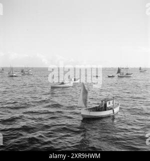 Aktuell 08-1951: Das Abenteuer in Lofoten. Etwa 5.000 Boote mit 20 bis 25.000 Fischern jagen den Skrein während der Hochsaison in Lofoten, dem Zentrum der weltweit größten Kabeljaufischerei. Lofoten angeln. Foto: Sverre A. Børretzen / aktuell / NTB ***das Foto ist nicht bearbeitetes Bild*** dieser Bildtext wird automatisch übersetzt dieser Bildtext wird automatisch übersetzt Stockfoto