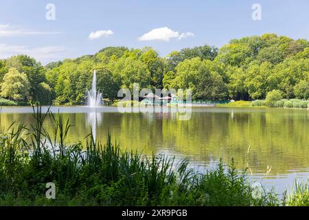 große Fontäne auf dem Schlossteich, im Hintergrund ein Restaurant, Chemnitz, Sachsen, Deutschland *** großer Springbrunnen am Schlossteich, im Hintergrund ein Restaurant, Chemnitz, Sachsen, Deutschland Stockfoto