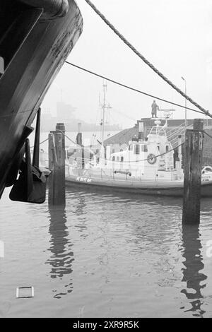 Seaport IJmuiden, 24.02.1993, Whizgle Dutch News: Historische Bilder zugeschnitten auf die Zukunft. Erkunden Sie die Vergangenheit der Niederlande mit modernen Perspektiven durch Bilder von niederländischen Agenturen. Verbinden der Ereignisse von gestern mit den Erkenntnissen von morgen. Begeben Sie sich auf eine zeitlose Reise mit Geschichten, die unsere Zukunft prägen. Stockfoto