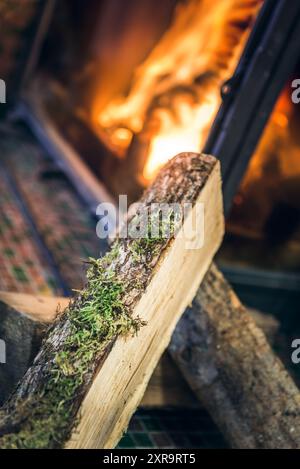 Feuchtes Feuerholz, Nahaufnahme vor dem Kamin Stockfoto