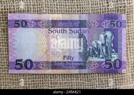 Südsudan 50-Pfund-Banknotenrückseite mit Elefanten Stockfoto