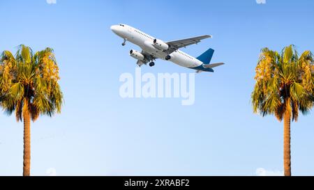 Konzept der Luftfahrtidee. Palme und fliegendes Passagierflugzeug auf blauem Himmel Hintergrund. Starten. Urlaub und internationale Reisen. Im Ausland. Horizontal. Stockfoto