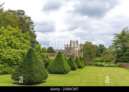 Sträucher mit Pyramiden im historischen Sizergh Castle und Garten in Helsington in der englischen Grafschaft Cumbria. Stockfoto