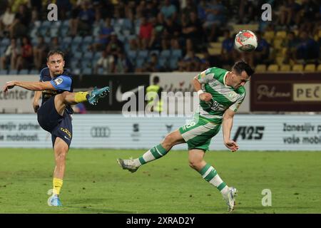 Celje, Slowenien. August 2024. Jost Pisek (L) von Celje FC schießt beim ersten Spiel der 3. Qualifikationsrunde für die Europa League zwischen Celje FC und Shamrock Rovers in Celje, Slowenien, am 8. August 2024 ins Tor. Quelle: Zeljko Stevanic/Xinhua/Alamy Live News Stockfoto