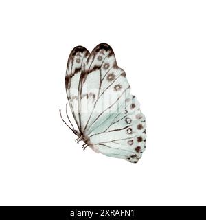 Vintage-Schmetterling. Esoterisches Mottensymbol. Handgezeichnete Aquarellillustration isoliert auf weißem Hintergrund. Designelement für natürliche Muster, florale Muster Stockfoto